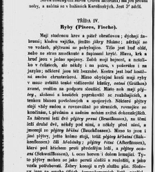 Dra V&aacute;clava Staňka Př&iacute;rodopis proston&aacute;rodn&iacute;, čili, Pops&aacute;n&iacute; zv&iacute;řat, rostlin a nerostů vedl&eacute; tř&iacute;d a ř&aacute;dů jejich(1851) document 592602
