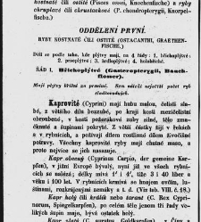 Dra V&aacute;clava Staňka Př&iacute;rodopis proston&aacute;rodn&iacute;, čili, Pops&aacute;n&iacute; zv&iacute;řat, rostlin a nerostů vedl&eacute; tř&iacute;d a ř&aacute;dů jejich(1851) document 592604
