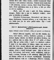 Dra V&aacute;clava Staňka Př&iacute;rodopis proston&aacute;rodn&iacute;, čili, Pops&aacute;n&iacute; zv&iacute;řat, rostlin a nerostů vedl&eacute; tř&iacute;d a ř&aacute;dů jejich(1851) document 592612