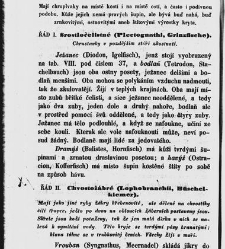 Dra V&aacute;clava Staňka Př&iacute;rodopis proston&aacute;rodn&iacute;, čili, Pops&aacute;n&iacute; zv&iacute;řat, rostlin a nerostů vedl&eacute; tř&iacute;d a ř&aacute;dů jejich(1851) document 592614