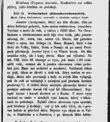 Dra V&aacute;clava Staňka Př&iacute;rodopis proston&aacute;rodn&iacute;, čili, Pops&aacute;n&iacute; zv&iacute;řat, rostlin a nerostů vedl&eacute; tř&iacute;d a ř&aacute;dů jejich(1851) document 592615