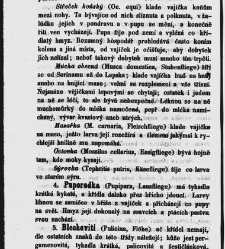 Dra V&aacute;clava Staňka Př&iacute;rodopis proston&aacute;rodn&iacute;, čili, Pops&aacute;n&iacute; zv&iacute;řat, rostlin a nerostů vedl&eacute; tř&iacute;d a ř&aacute;dů jejich(1851) document 592650