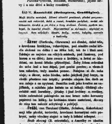 Dra V&aacute;clava Staňka Př&iacute;rodopis proston&aacute;rodn&iacute;, čili, Pops&aacute;n&iacute; zv&iacute;řat, rostlin a nerostů vedl&eacute; tř&iacute;d a ř&aacute;dů jejich(1851) document 592654