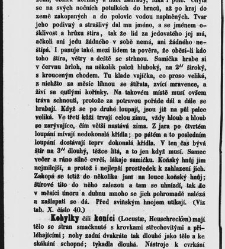 Dra V&aacute;clava Staňka Př&iacute;rodopis proston&aacute;rodn&iacute;, čili, Pops&aacute;n&iacute; zv&iacute;řat, rostlin a nerostů vedl&eacute; tř&iacute;d a ř&aacute;dů jejich(1851) document 592656