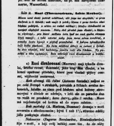 Dra V&aacute;clava Staňka Př&iacute;rodopis proston&aacute;rodn&iacute;, čili, Pops&aacute;n&iacute; zv&iacute;řat, rostlin a nerostů vedl&eacute; tř&iacute;d a ř&aacute;dů jejich(1851) document 592668