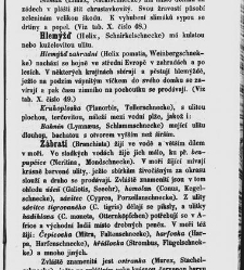 Dra V&aacute;clava Staňka Př&iacute;rodopis proston&aacute;rodn&iacute;, čili, Pops&aacute;n&iacute; zv&iacute;řat, rostlin a nerostů vedl&eacute; tř&iacute;d a ř&aacute;dů jejich(1851) document 592677