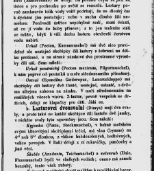 Dra V&aacute;clava Staňka Př&iacute;rodopis proston&aacute;rodn&iacute;, čili, Pops&aacute;n&iacute; zv&iacute;řat, rostlin a nerostů vedl&eacute; tř&iacute;d a ř&aacute;dů jejich(1851) document 592679
