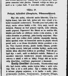 Dra V&aacute;clava Staňka Př&iacute;rodopis proston&aacute;rodn&iacute;, čili, Pops&aacute;n&iacute; zv&iacute;řat, rostlin a nerostů vedl&eacute; tř&iacute;d a ř&aacute;dů jejich(1851) document 592687