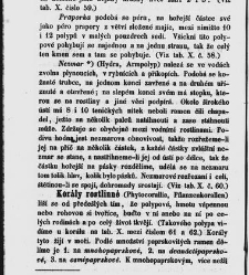 Dra V&aacute;clava Staňka Př&iacute;rodopis proston&aacute;rodn&iacute;, čili, Pops&aacute;n&iacute; zv&iacute;řat, rostlin a nerostů vedl&eacute; tř&iacute;d a ř&aacute;dů jejich(1851) document 592688