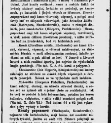 Dra V&aacute;clava Staňka Př&iacute;rodopis proston&aacute;rodn&iacute;, čili, Pops&aacute;n&iacute; zv&iacute;řat, rostlin a nerostů vedl&eacute; tř&iacute;d a ř&aacute;dů jejich(1851) document 592689