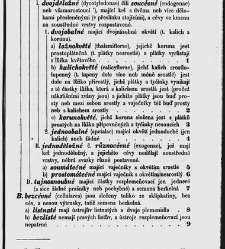 Dra V&aacute;clava Staňka Př&iacute;rodopis proston&aacute;rodn&iacute;, čili, Pops&aacute;n&iacute; zv&iacute;řat, rostlin a nerostů vedl&eacute; tř&iacute;d a ř&aacute;dů jejich(1851) document 592828