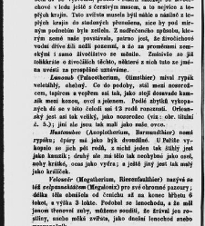 Dra V&aacute;clava Staňka Př&iacute;rodopis proston&aacute;rodn&iacute;, čili, Pops&aacute;n&iacute; zv&iacute;řat, rostlin a nerostů vedl&eacute; tř&iacute;d a ř&aacute;dů jejich(1851) document 592851