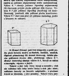 Dra V&aacute;clava Staňka Př&iacute;rodopis proston&aacute;rodn&iacute;, čili, Pops&aacute;n&iacute; zv&iacute;řat, rostlin a nerostů vedl&eacute; tř&iacute;d a ř&aacute;dů jejich(1851) document 592860