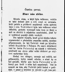 Zbav n&aacute;s zl&eacute;ho, čili, Nevystižiteln&eacute; cesty P&aacute;ně : pov&iacute;dka pro ml&aacute;dež a př&aacute;tele jej&iacute; / dle vypravov&aacute;n&iacute; od G. N&yacute;rice vzdělal Josef Peč&iacute;rka(1865) document 595465