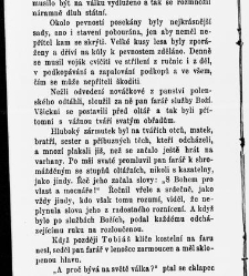 Zbav n&aacute;s zl&eacute;ho, čili, Nevystižiteln&eacute; cesty P&aacute;ně : pov&iacute;dka pro ml&aacute;dež a př&aacute;tele jej&iacute; / dle vypravov&aacute;n&iacute; od G. N&yacute;rice vzdělal Josef Peč&iacute;rka(1865) document 595484