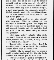 Zbav n&aacute;s zl&eacute;ho, čili, Nevystižiteln&eacute; cesty P&aacute;ně : pov&iacute;dka pro ml&aacute;dež a př&aacute;tele jej&iacute; / dle vypravov&aacute;n&iacute; od G. N&yacute;rice vzdělal Josef Peč&iacute;rka(1865) document 595519