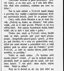 Zbav n&aacute;s zl&eacute;ho, čili, Nevystižiteln&eacute; cesty P&aacute;ně : pov&iacute;dka pro ml&aacute;dež a př&aacute;tele jej&iacute; / dle vypravov&aacute;n&iacute; od G. N&yacute;rice vzdělal Josef Peč&iacute;rka(1865) document 595523
