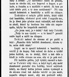 Zbav n&aacute;s zl&eacute;ho, čili, Nevystižiteln&eacute; cesty P&aacute;ně : pov&iacute;dka pro ml&aacute;dež a př&aacute;tele jej&iacute; / dle vypravov&aacute;n&iacute; od G. N&yacute;rice vzdělal Josef Peč&iacute;rka(1865) document 595536