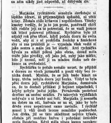 Světlá, Karolina:Vesnický román / od Karoliny Světlé(1899) document 597176