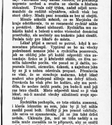 Světlá, Karolina:Vesnický román / od Karoliny Světlé(1899) document 597178