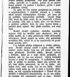 Světlá, Karolina:Vesnický román / od Karoliny Světlé(1899) document 597200