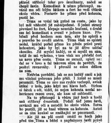 Světlá, Karolina:Vesnický román / od Karoliny Světlé(1899) document 597223