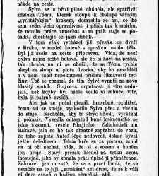 Světlá, Karolina:Vesnický román / od Karoliny Světlé(1899) document 597234