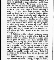Světl&aacute;, Karolina:Vesnick&yacute; rom&aacute;n / od Karoliny Světl&eacute;(1899) document 597263