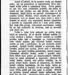 Světl&aacute;, Karolina:Vesnick&yacute; rom&aacute;n / od Karoliny Světl&eacute;(1899) document 597267