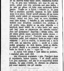 Světl&aacute;, Karolina:Vesnick&yacute; rom&aacute;n / od Karoliny Světl&eacute;(1899) document 597369