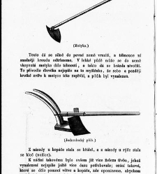 Umění hospodářské ve všech odvětvích orby a chování dobytka / dle osvědčených nauk vědy, zkušenosti a nejnovějších vynálezů v přírodě důkladně, pochopitelně a povzbuditelně sestavil Ferdinand Stamm / Stamm, Ferdinand(1852) document 601944