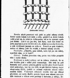 Umění hospodářské ve všech odvětvích orby a chování dobytka / dle osvědčených nauk vědy, zkušenosti a nejnovějších vynálezů v přírodě důkladně, pochopitelně a povzbuditelně sestavil Ferdinand Stamm / Stamm, Ferdinand(1852) document 601956