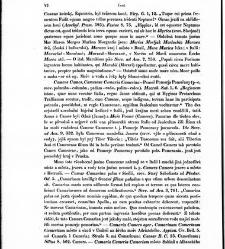 Staroitalia slavjanská aneb objevy a důkazy živlů slavských v zeměpisu, v dějinách a v bájesloví, zvláště v řeči a v literatuře nejdávnějších vlaských a sousedních kmenů, z kterých zřejmo, že mezi prvotními osadníky a obyvateli této krajiny i Slavjané nad(1853) document 606796