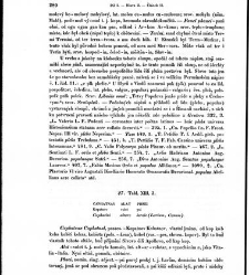 Staroitalia slavjanská aneb objevy a důkazy živlů slavských v zeměpisu, v dějinách a v bájesloví, zvláště v řeči a v literatuře nejdávnějších vlaských a sousedních kmenů, z kterých zřejmo, že mezi prvotními osadníky a obyvateli této krajiny i Slavjané nad(1853) document 607034