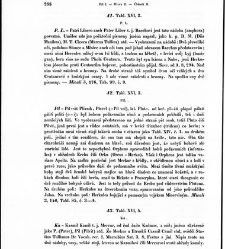 Staroitalia slavjanská aneb objevy a důkazy živlů slavských v zeměpisu, v dějinách a v bájesloví, zvláště v řeči a v literatuře nejdávnějších vlaských a sousedních kmenů, z kterých zřejmo, že mezi prvotními osadníky a obyvateli této krajiny i Slavjané nad(1853) document 607042