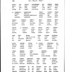 Staroitalia slavjansk&aacute; aneb objevy a důkazy živlů slavsk&yacute;ch v zeměpisu, v dějin&aacute;ch a v b&aacute;jeslov&iacute;, zvl&aacute;&scaron;tě v řeči a v literatuře nejd&aacute;vněj&scaron;&iacute;ch vlask&yacute;ch a sousedn&iacute;ch kmenů, z kter&yacute;ch zřejmo, že mezi prvotn&iacute;mi osadn&iacute;ky a obyvateli t&eacute;to krajiny i Slavjan&eacute; nad(1853) document 607152