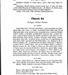 Staroitalia slavjanská aneb objevy a důkazy živlů slavských v zeměpisu, v dějinách a v bájesloví, zvláště v řeči a v literatuře nejdávnějších vlaských a sousedních kmenů, z kterých zřejmo, že mezi prvotními osadníky a obyvateli této krajiny i Slavjané nad(1853) document 607428