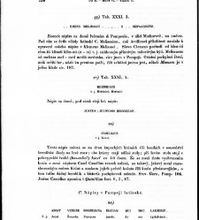 Staroitalia slavjanská aneb objevy a důkazy živlů slavských v zeměpisu, v dějinách a v bájesloví, zvláště v řeči a v literatuře nejdávnějších vlaských a sousedních kmenů, z kterých zřejmo, že mezi prvotními osadníky a obyvateli této krajiny i Slavjané nad(1853) document 607490