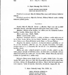 Staroitalia slavjanská aneb objevy a důkazy živlů slavských v zeměpisu, v dějinách a v bájesloví, zvláště v řeči a v literatuře nejdávnějších vlaských a sousedních kmenů, z kterých zřejmo, že mezi prvotními osadníky a obyvateli této krajiny i Slavjané nad(1853) document 607502