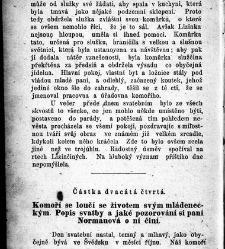 Komoří Lasman co starý mládenec a manžel /(1869) document 609497