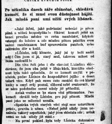 Komoří Lasman co starý mládenec a manžel /(1869) document 609528