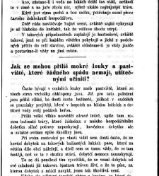 Bud&iacute;ček . Věrn&yacute; hlasatel užitečn&yacute;ch(1863) document 610192