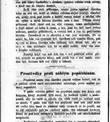 Bud&iacute;ček . Věrn&yacute; hlasatel užitečn&yacute;ch(1863) document 610357