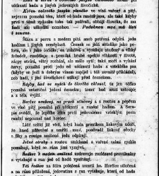 Bud&iacute;ček . Věrn&yacute; hlasatel užitečn&yacute;ch(1863) document 610368