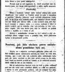 Bud&iacute;ček . Věrn&yacute; hlasatel užitečn&yacute;ch(1863) document 610370