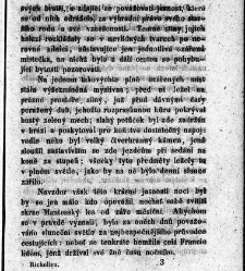 Kardinal Richelieu : historick&yacute; obraz z časů francousk&eacute;ho kr&aacute;le Ludv&iacute;ka XIII.(1852) document 615425
