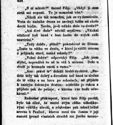 Kardinal Richelieu : historick&yacute; obraz z časů francousk&eacute;ho kr&aacute;le Ludv&iacute;ka XIII.(1852) document 615816