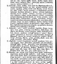 Rozprawy o gmen&aacute;ch, poč&aacute;tk&aacute;ch i starožitnostech n&aacute;rodu Slawsk&eacute;ho a geho kmeni /(1830) document 619043