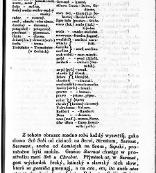 Rozprawy o gmenách, počátkách i starožitnostech národu Slawského a geho kmeni /(1830) document 619056