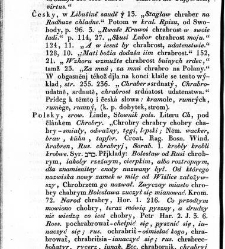 Rozprawy o gmenách, počátkách i starožitnostech národu Slawského a geho kmeni /(1830) document 619093